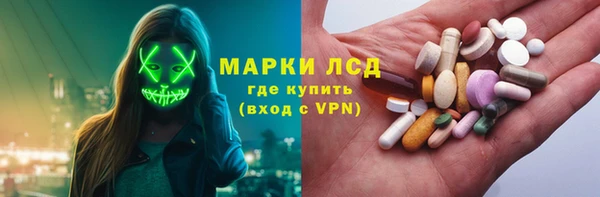 стафф Аркадак