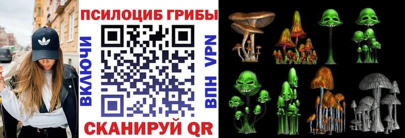 Галлюциногенные грибы прущие грибы  хочу наркоту  мориарти как зайти  Камбарка 